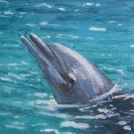 Урок по рисованию дельфина акриловыми красками